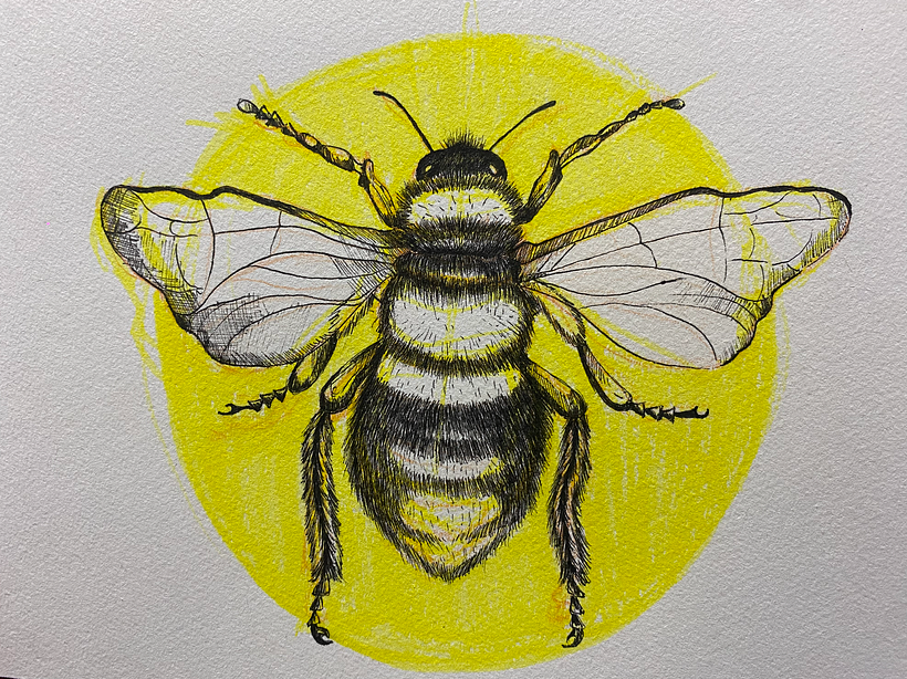 My project for course: Daily Sketching for Creative Inspiration 4