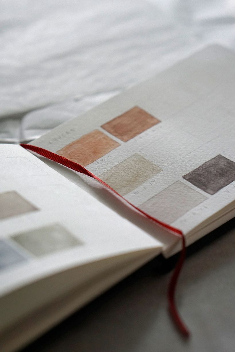 As I mention in my DMSTK course Naturalist Bird Illustration, I keep record of my bird color palettes in a tiny sketchbook.