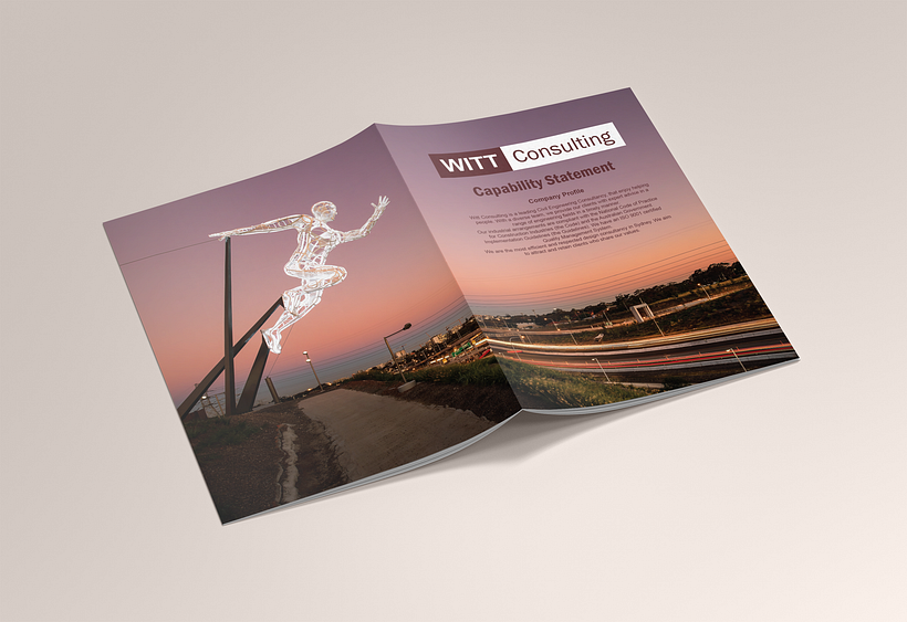 Witt Consulting 4