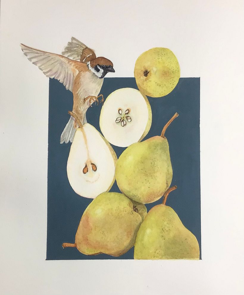 Decided the sparrow looked a bit strange floating around so……..