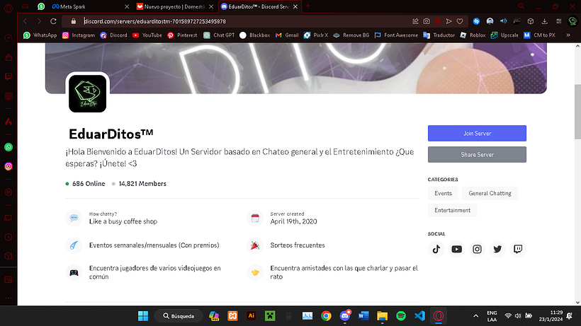 Mi proyecto del curso: Servidor de Discord para generar contactos profesionales y clientes. 4