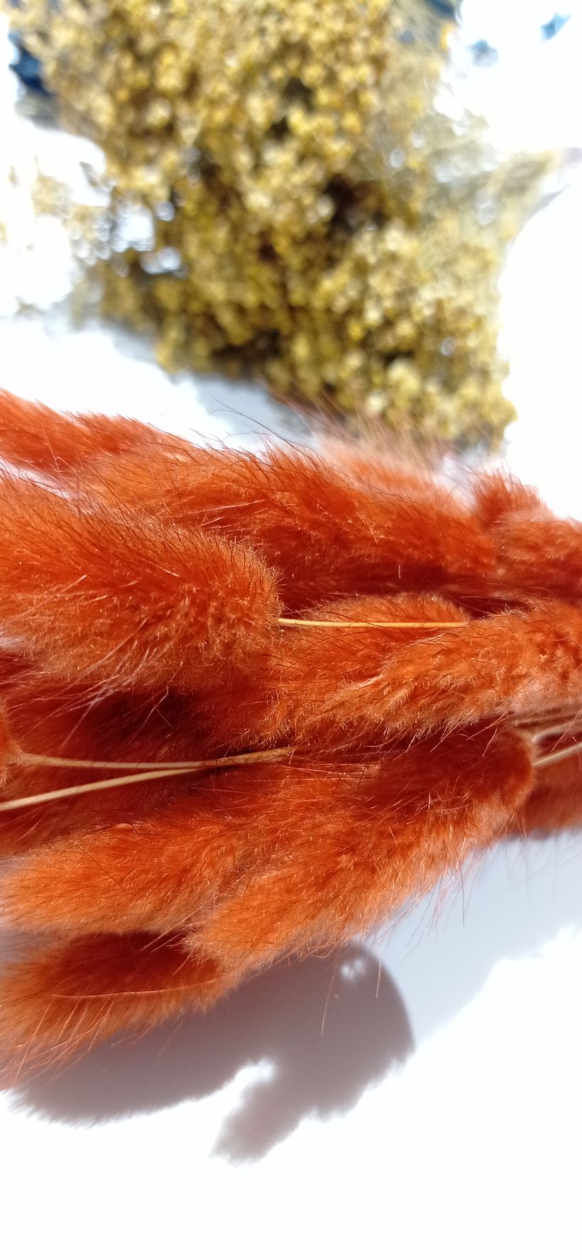 Mi proyecto del curso: Tocado floral: crea tu complemento de flores 4