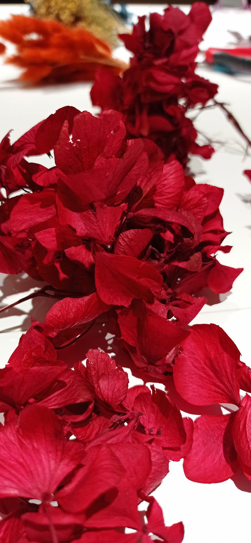 Mi proyecto del curso: Tocado floral: crea tu complemento de flores 5