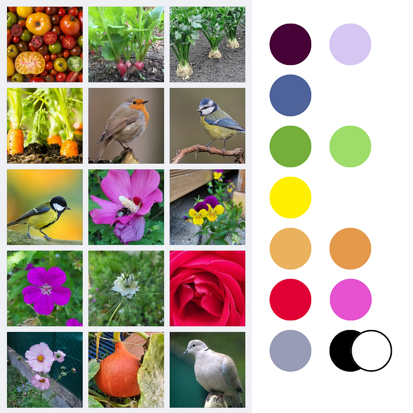 Moodboard et palette de couleurs - au jardin