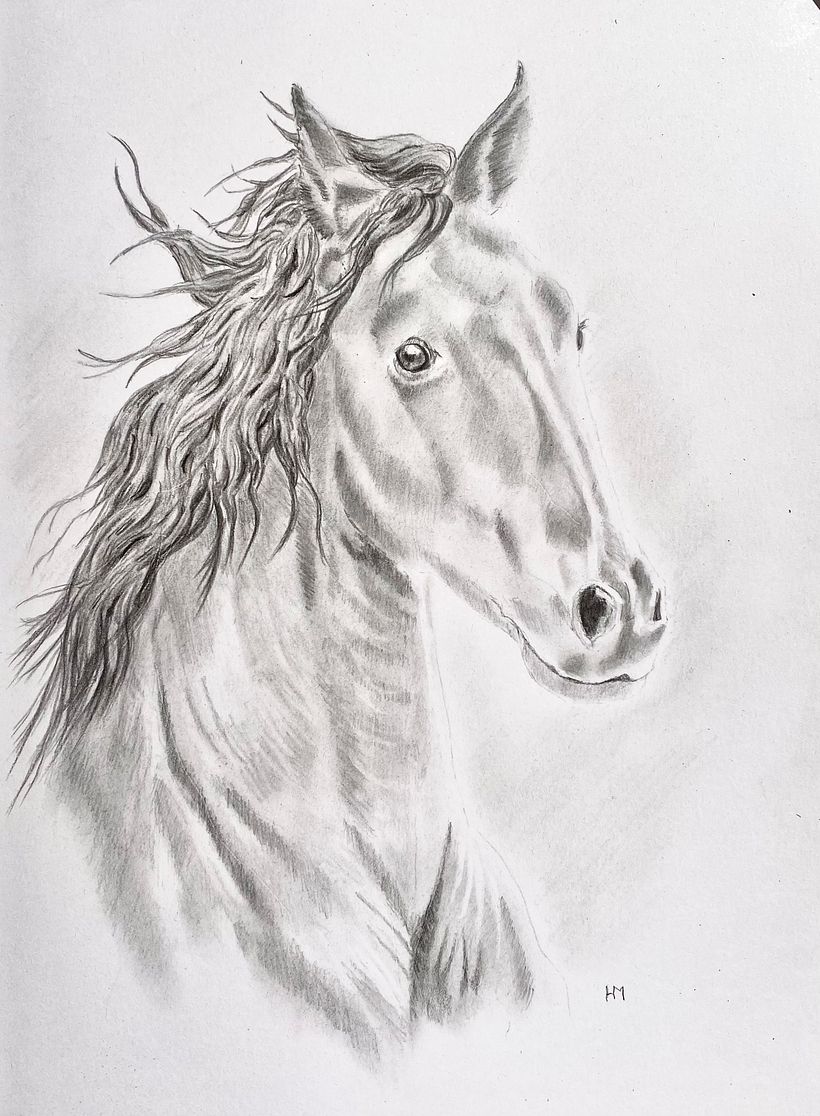My final project for realistic horse drawing