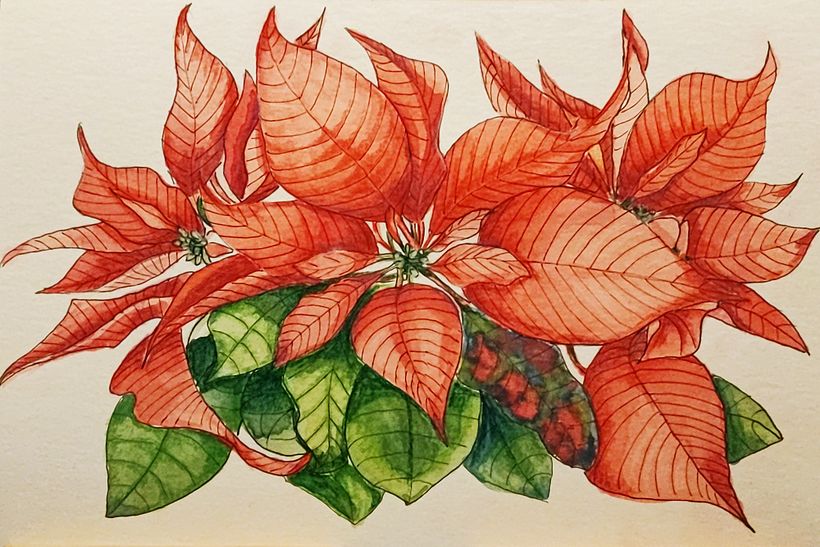 Il mio progetto del corso:  Sketchbook botanico: un approccio meditativo 1