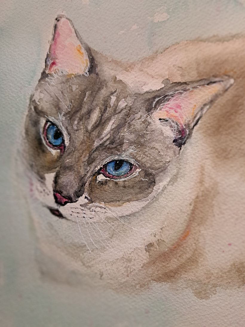 Final, Jimmy the cat. Painted for a friend.