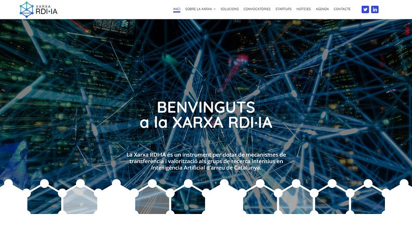 Página web para red de investigación 2