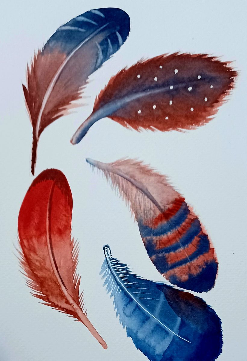 Feathers, I used masking fluid for the white spots. Pen for the centres of feathers