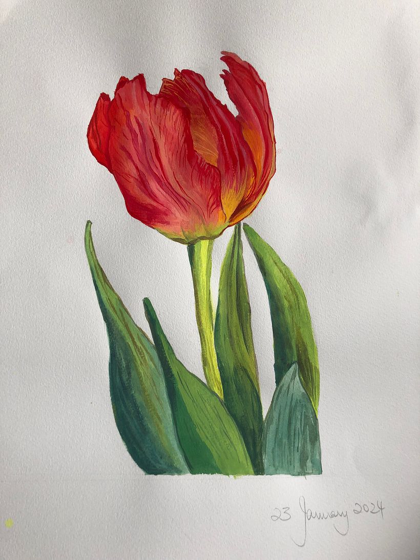 Gouache and Watercolor  2