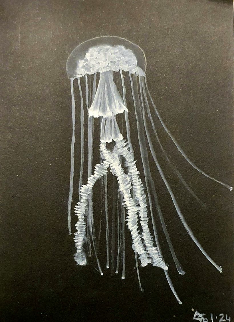 Méduse à l'aquarelle  1
