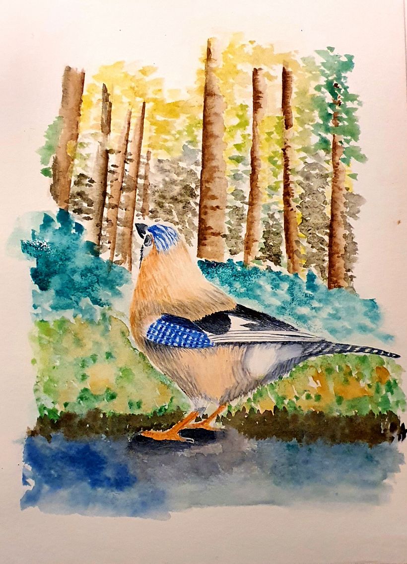 Oiseau en forêt  1
