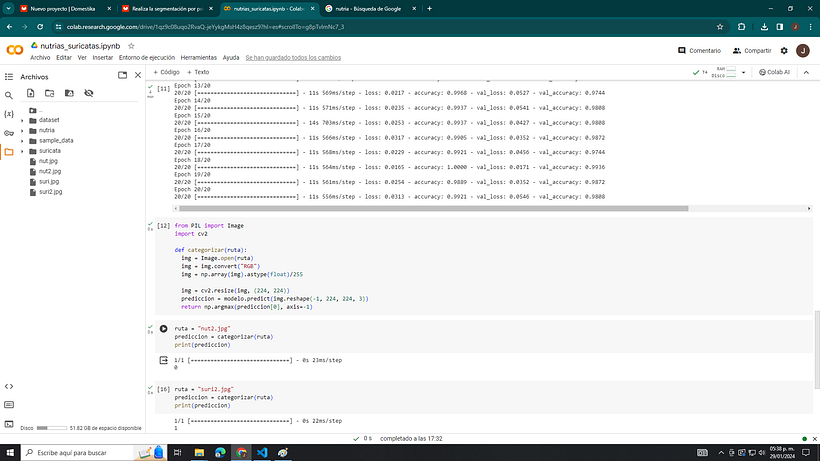 Mi proyecto del curso: Introducción a la IA con Python 1