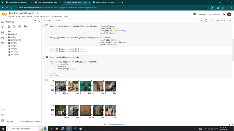 Mi proyecto del curso: Introducción a la IA con Python 3