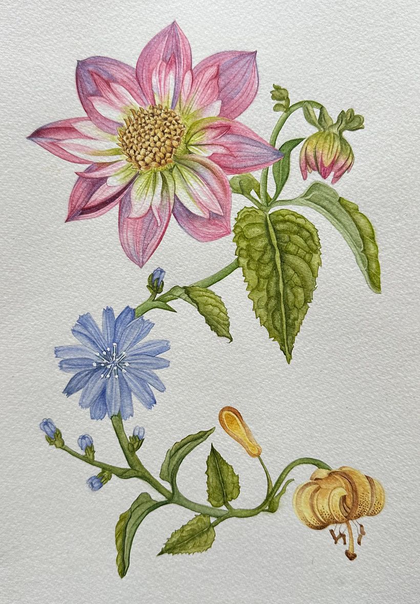 Mi proyecto del curso: Acuarela realista para composiciones botánicas 2