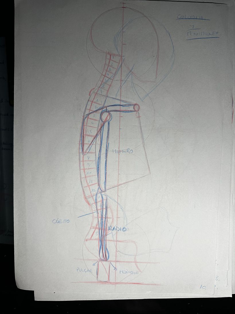 Mi proyecto del curso: Dibujo anatómico para principiantes 2