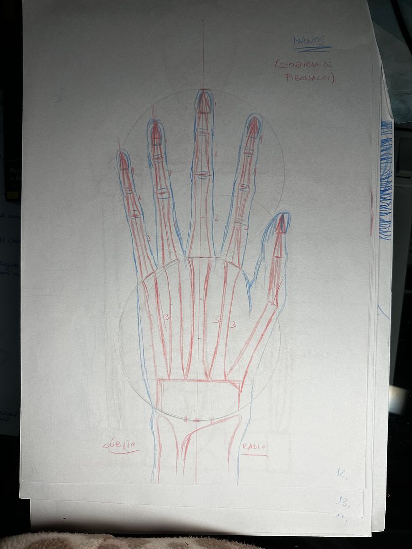 Mi proyecto del curso: Dibujo anatómico para principiantes 3