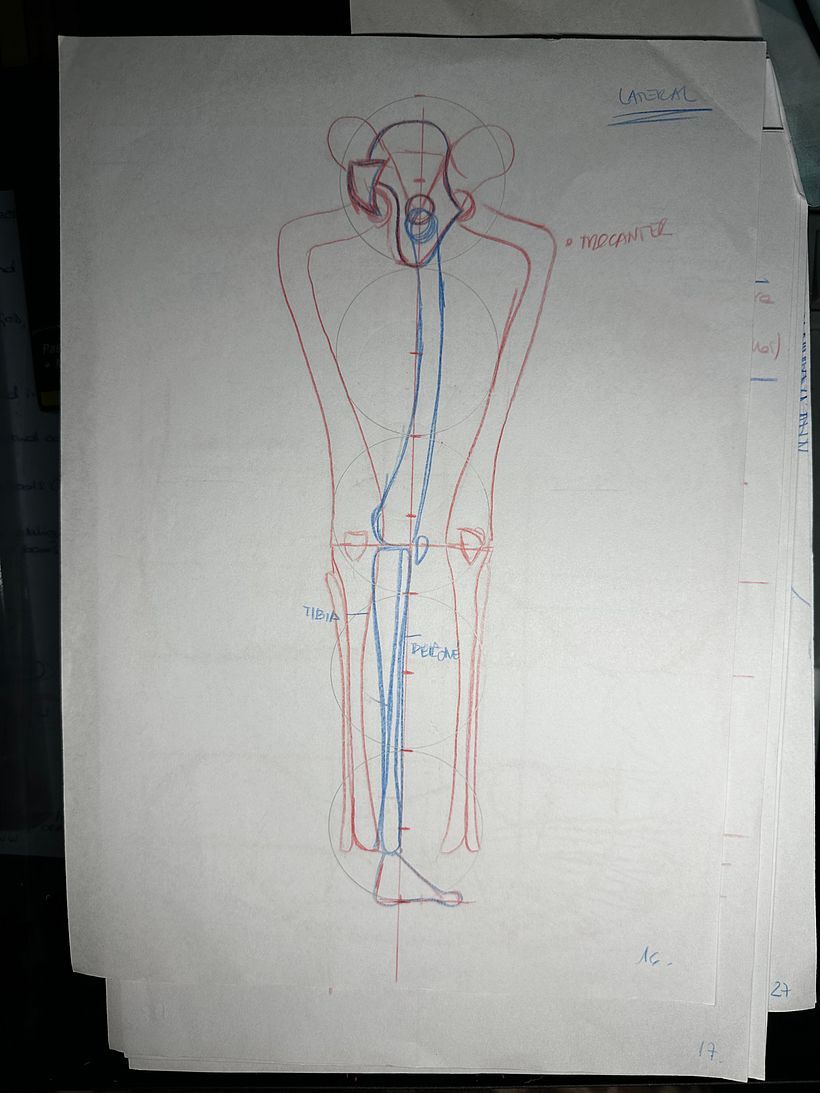 Mi proyecto del curso: Dibujo anatómico para principiantes 5