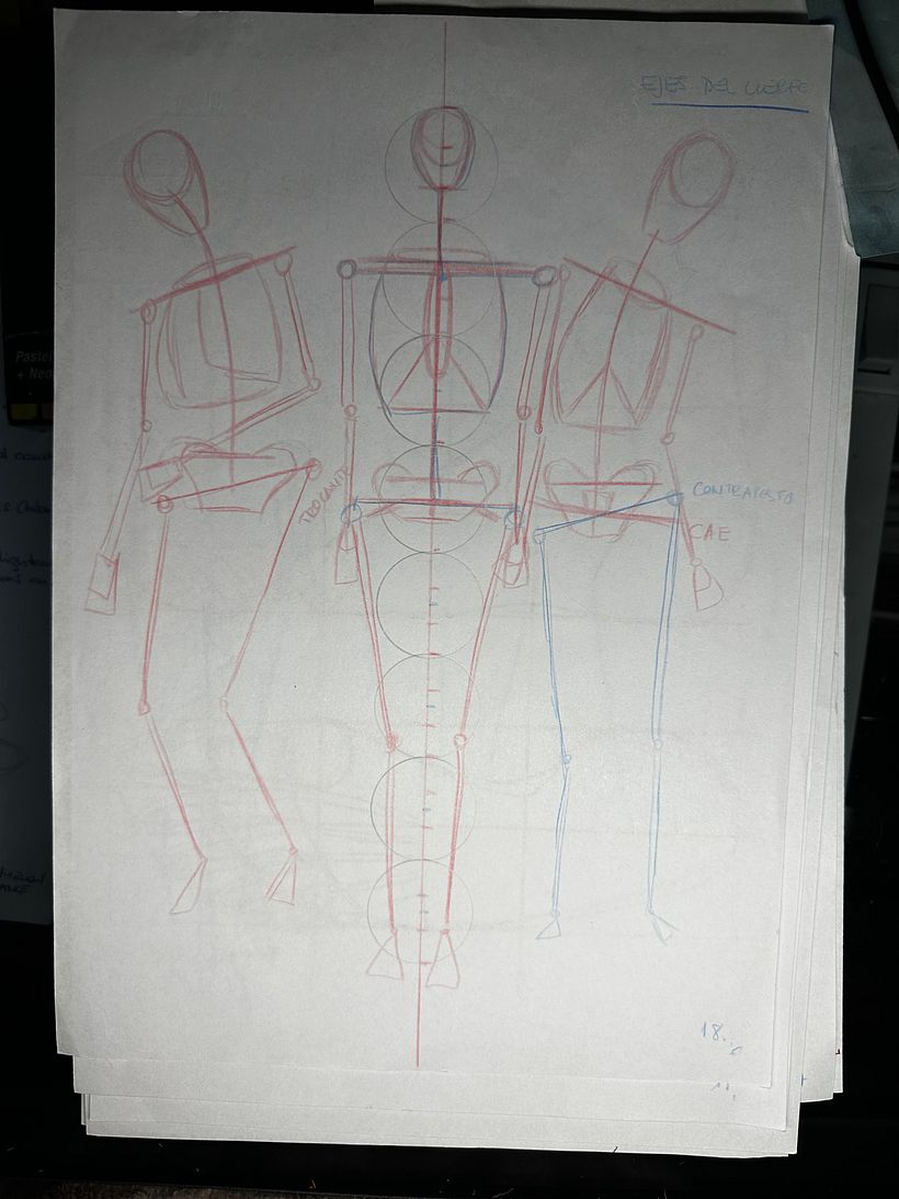 Mi proyecto del curso: Dibujo anatómico para principiantes 6
