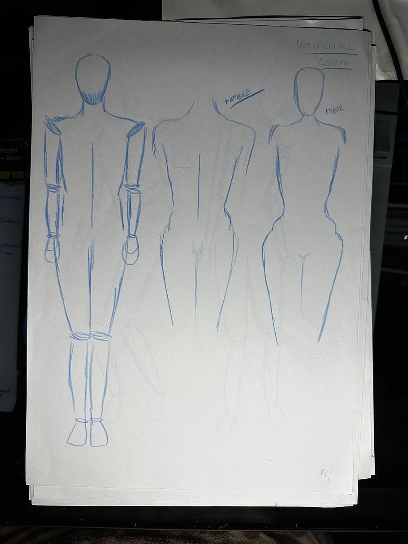 Mi proyecto del curso: Dibujo anatómico para principiantes 7