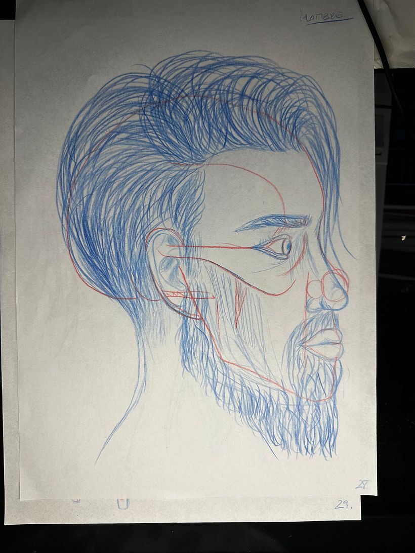 Mi proyecto del curso: Dibujo anatómico para principiantes 14