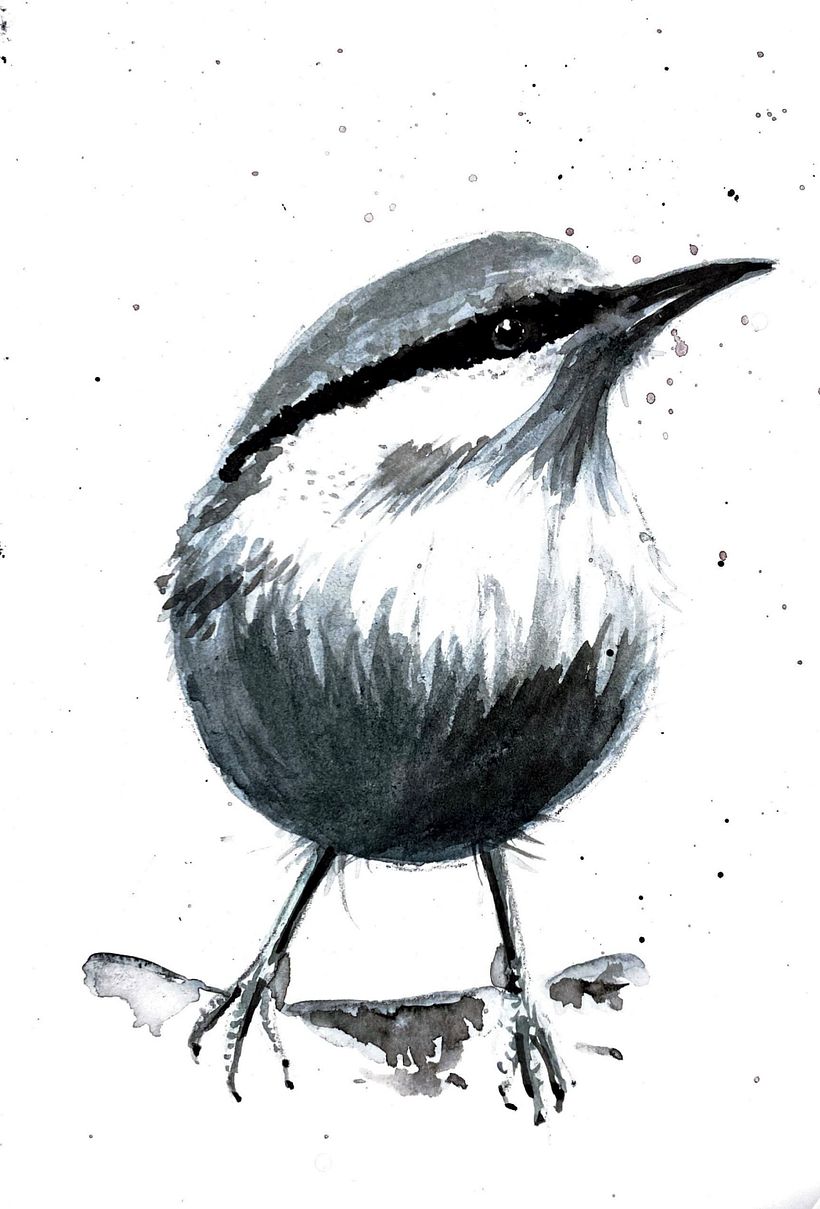 My project for course: Illustrating the Natural World with Watercolor and Charcoal 4
