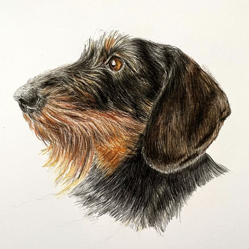 Top 5 proyectos publicados en enero 2024 3