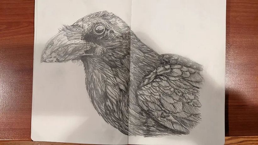 Crow