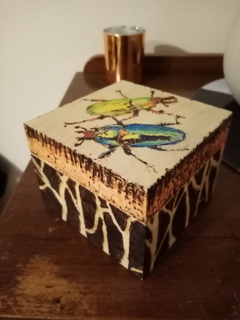 Pyrography project_wooden box 3