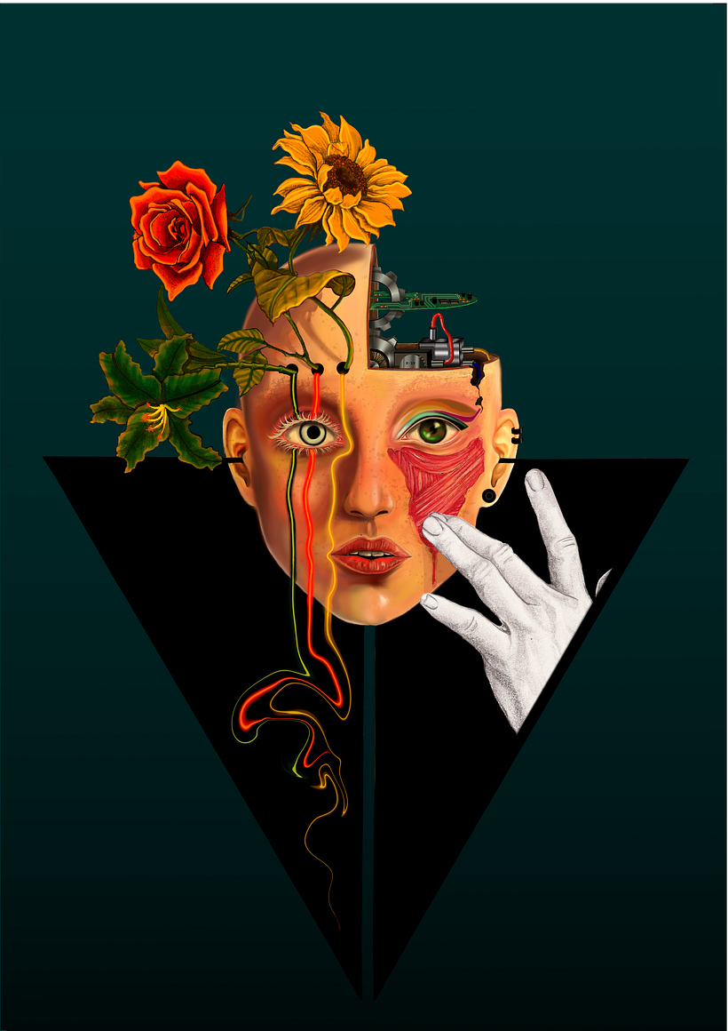 Paixões Artificiais - CSP