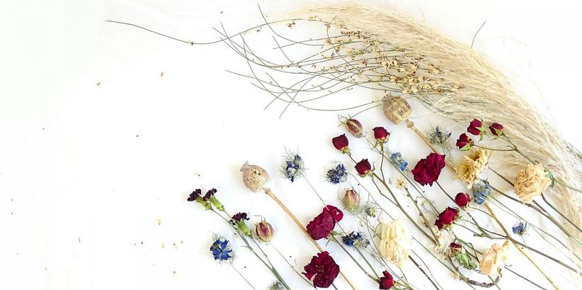 Descarga gratis esta guía sobre el secado y preservado de flores 3