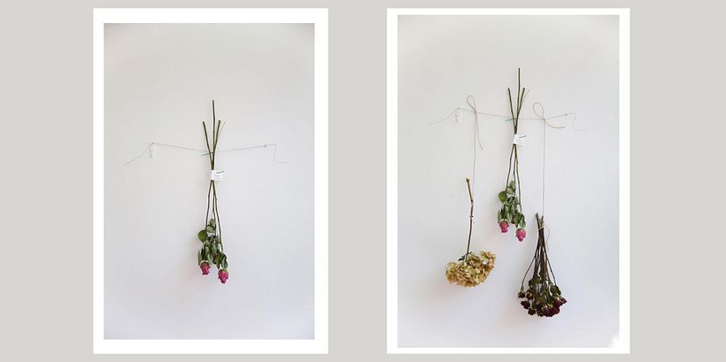 Descarga gratis esta guía sobre el secado y preservado de flores 5