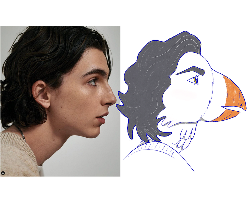 Animalizing People 3: Timothee Chalamet as a Puffin