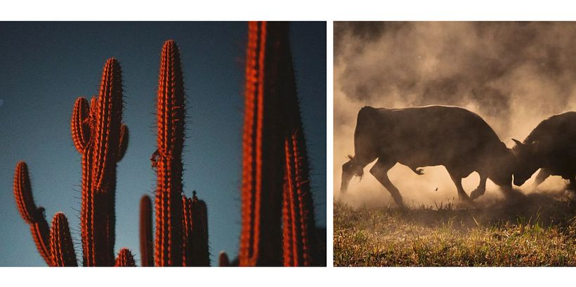 Los 10 mejores fotógrafos de viaje 13