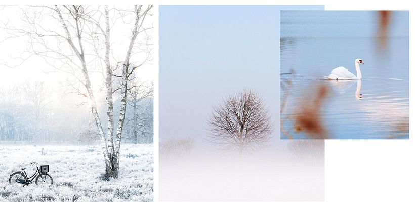 Los 10 mejores fotógrafos de viaje 15