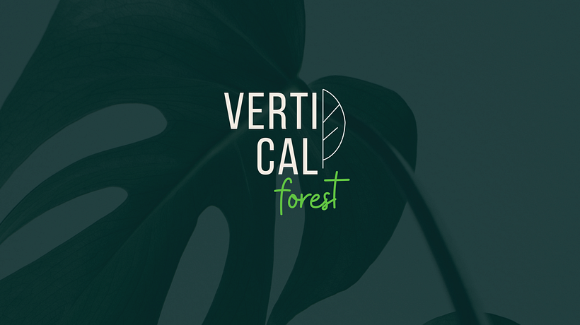 VERTICAL. Naming/Branding/Creación de marca 6
