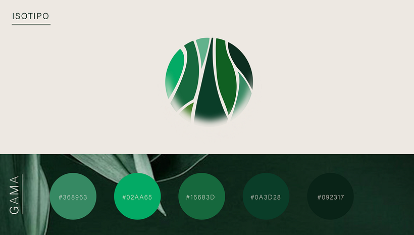 FORESTA. Naming/Branding/Libro de marca 4