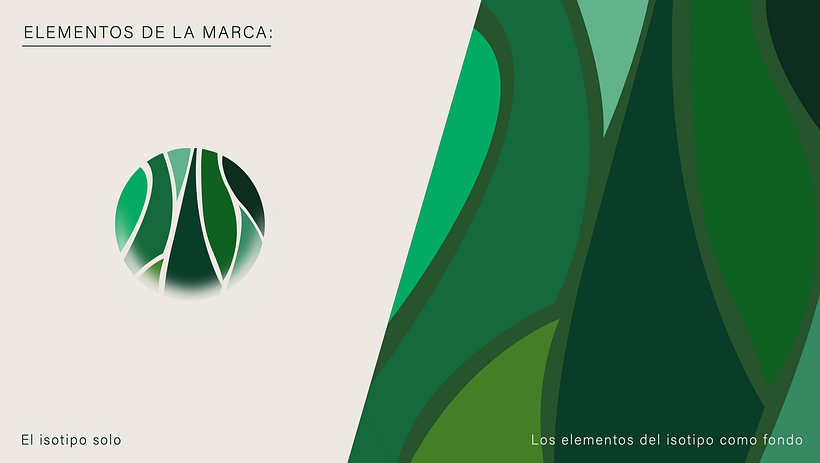 FORESTA. Naming/Branding/Libro de marca 9