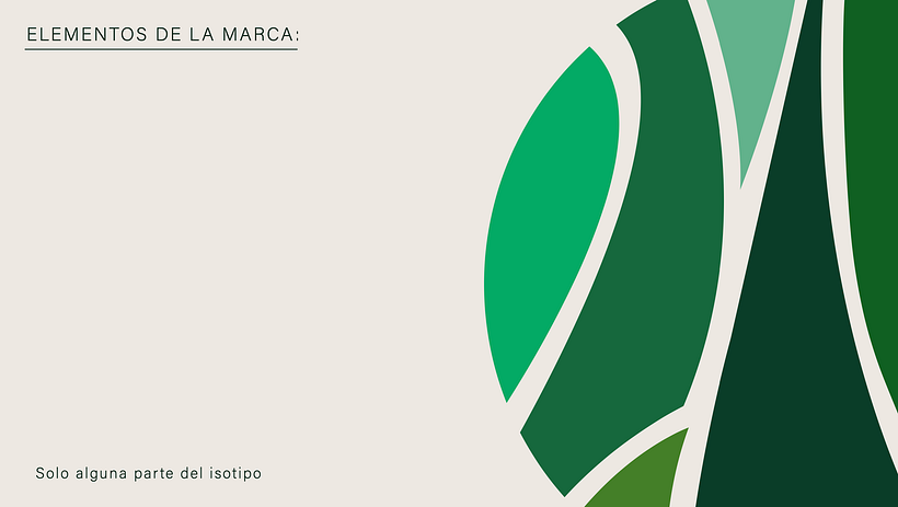 FORESTA. Naming/Branding/Libro de marca 10