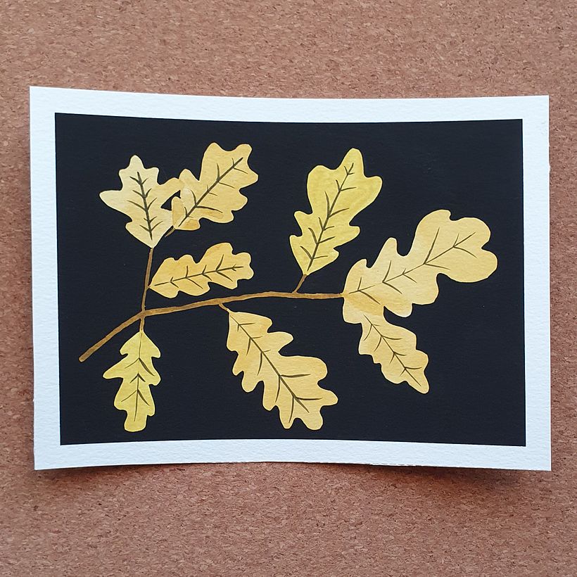 Oak leaves