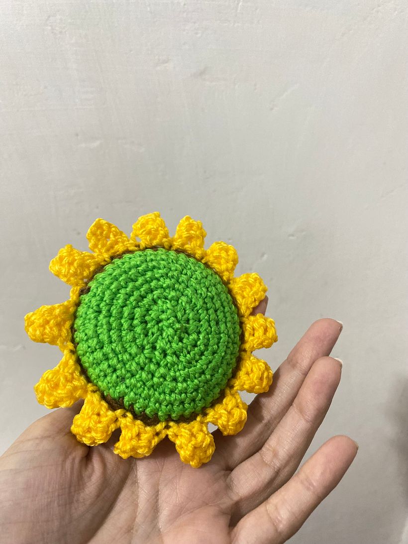 Mi proyecto del curso: Amigurumis: personas tejidas a crochet 2