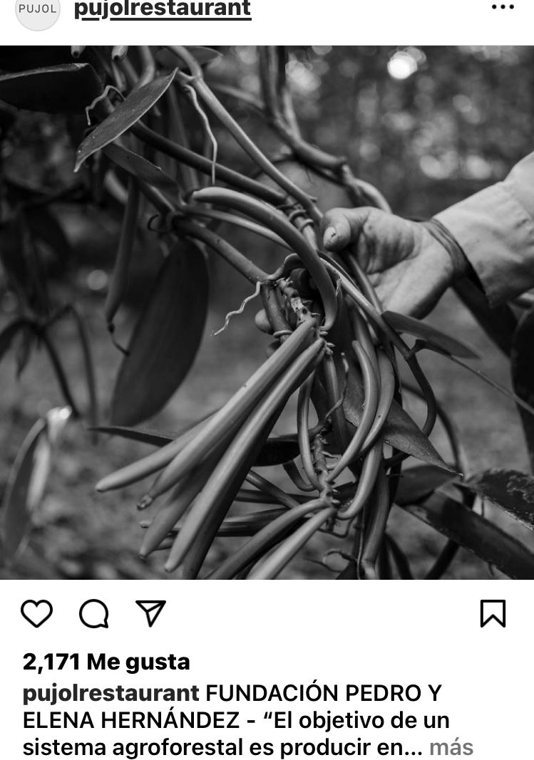 My project for course: Introduction to Networking: Build Professional Relationships 1