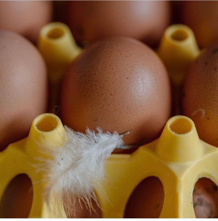 My project for course: Introduction to Networking: Build Professional Relationships 4