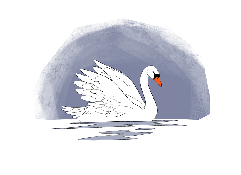 how to draw swan