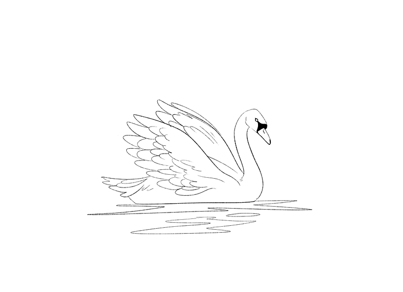 how to draw a swan for beginners