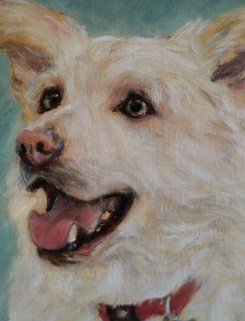 Óscar, a minha primeira pintura a óleo de um pet.  2