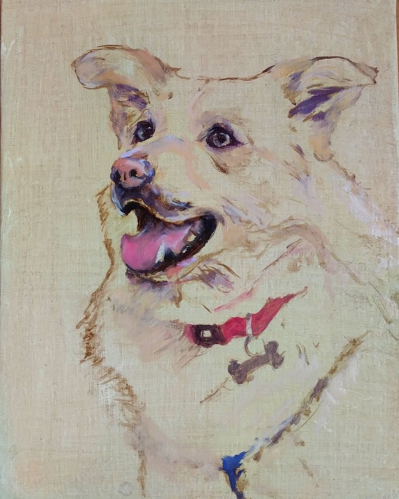 Óscar, a minha primeira pintura a óleo de um pet.  2