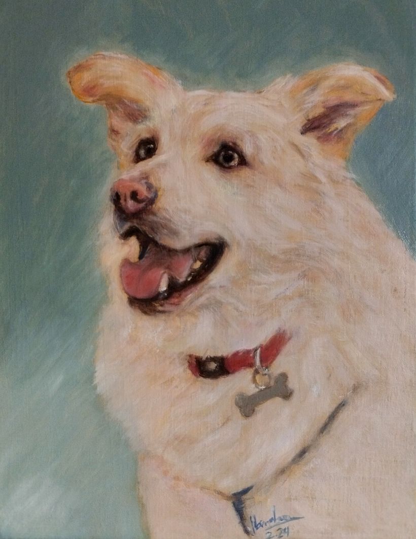 Óscar, a minha primeira pintura a óleo de um pet.  4