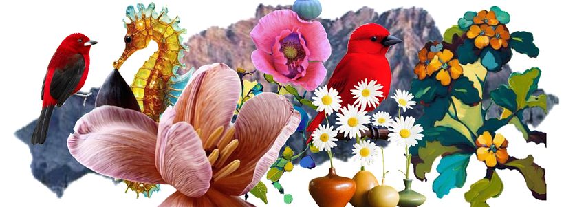 My collage work