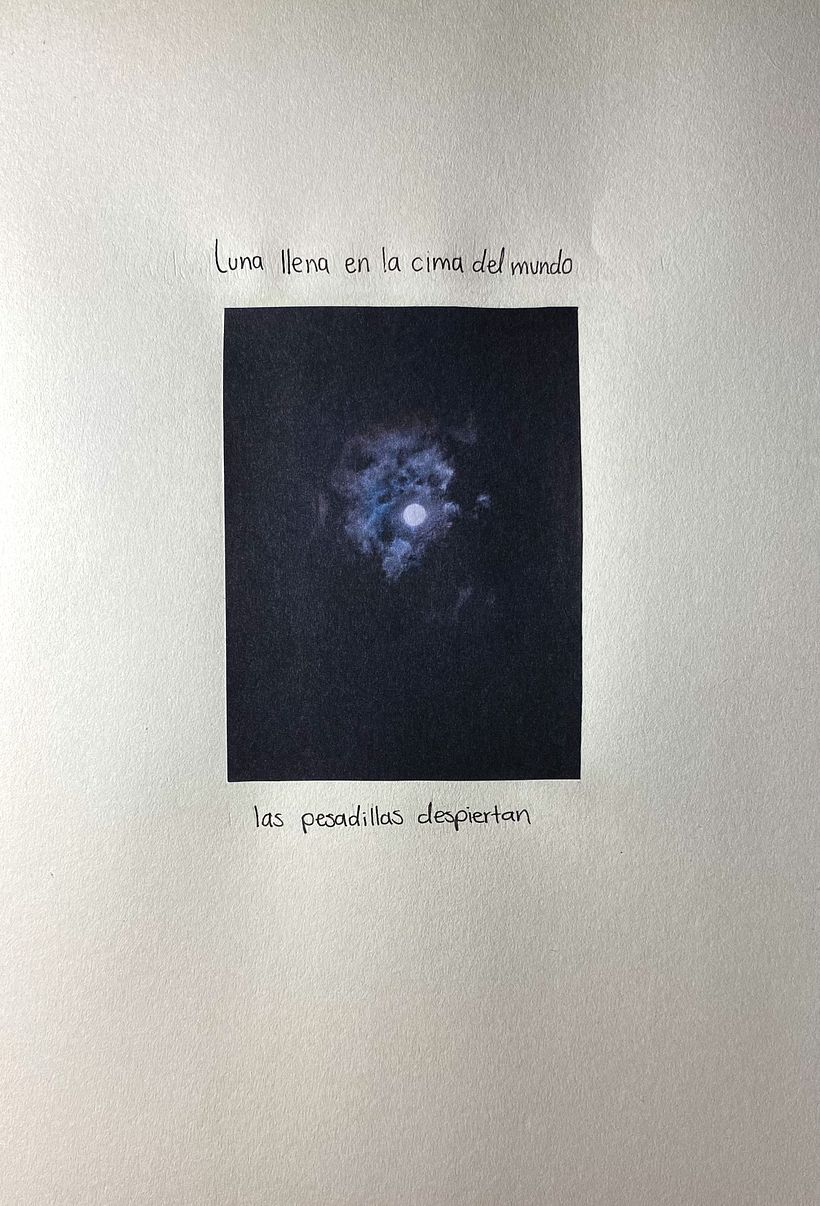 TRANSMUTACIÓN - Mi proyecto del curso: Diario de poesía visual: narra con fotografía y versos 3